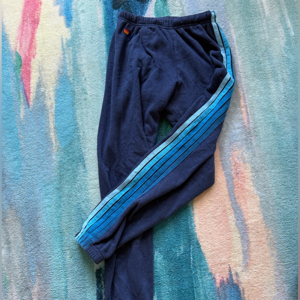 Aviator Nation Womens blue striped sweatpants